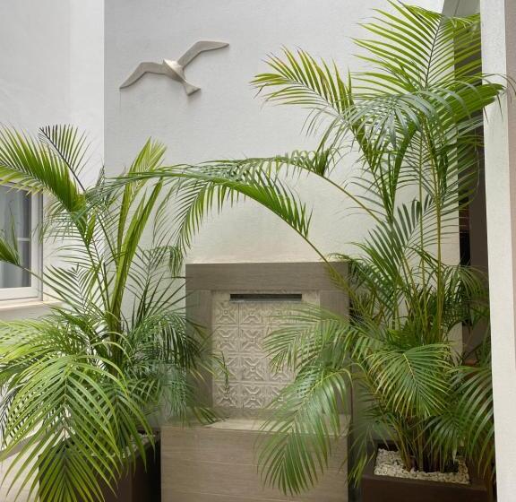 ホテル Hostal El Caprichito Marbella