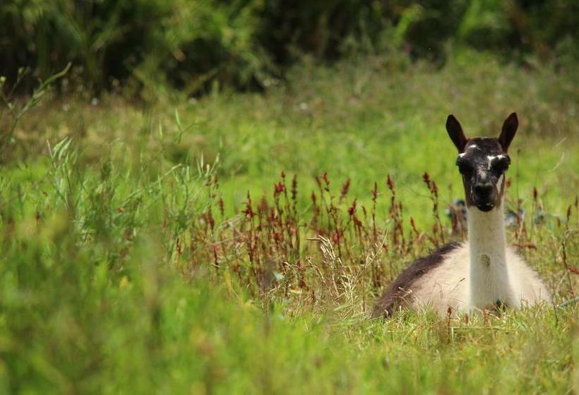 هتل Hosteria Cananvalle