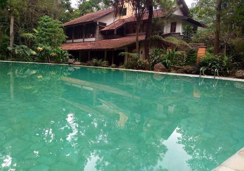 Fotos del hotel Imah Seniman:  8