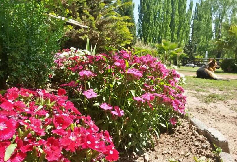 בית מלון כפרי Pilgrim S Rest   Descanso Del Peregrino