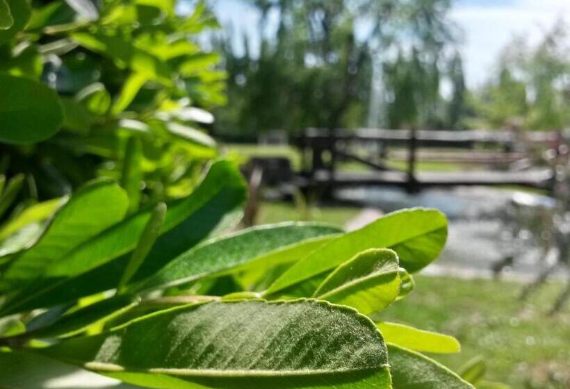 בית מלון כפרי Pilgrim S Rest   Descanso Del Peregrino