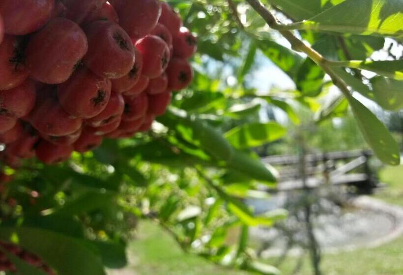 בית מלון כפרי Pilgrim S Rest   Descanso Del Peregrino