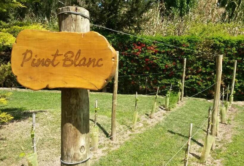 בית מלון כפרי Pilgrim S Rest   Descanso Del Peregrino