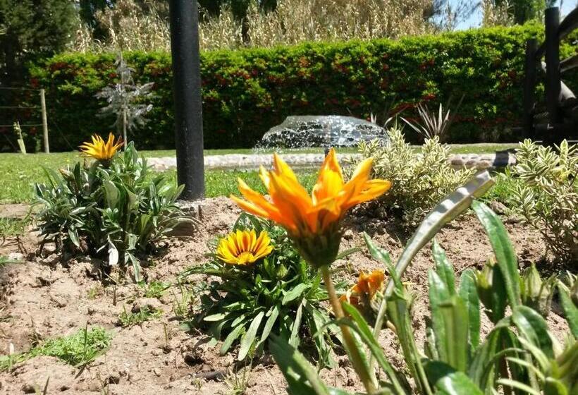 בית מלון כפרי Pilgrim S Rest   Descanso Del Peregrino