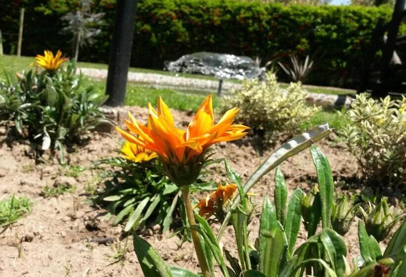 בית מלון כפרי Pilgrim S Rest   Descanso Del Peregrino