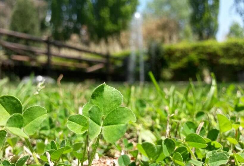 בית מלון כפרי Pilgrim S Rest   Descanso Del Peregrino