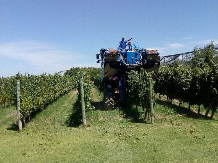 Отель Posada Cavieres Wine Farm
