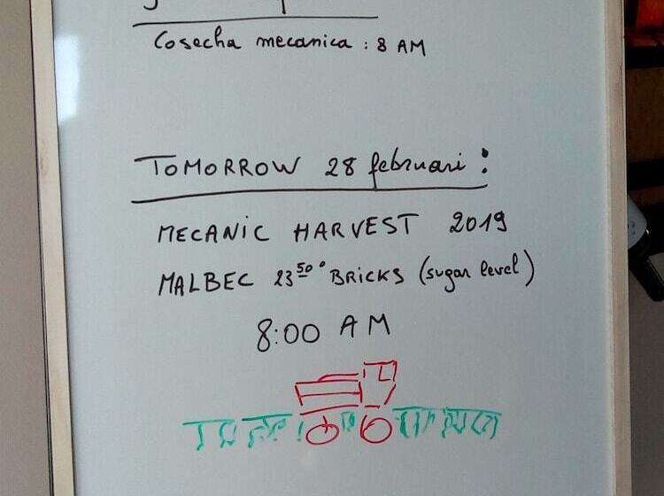 Отель Posada Cavieres Wine Farm