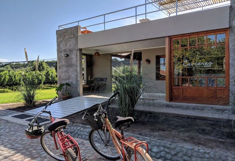 Отель Posada Cavieres Wine Farm