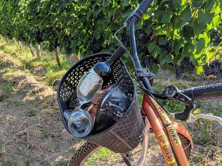 Отель Posada Cavieres Wine Farm