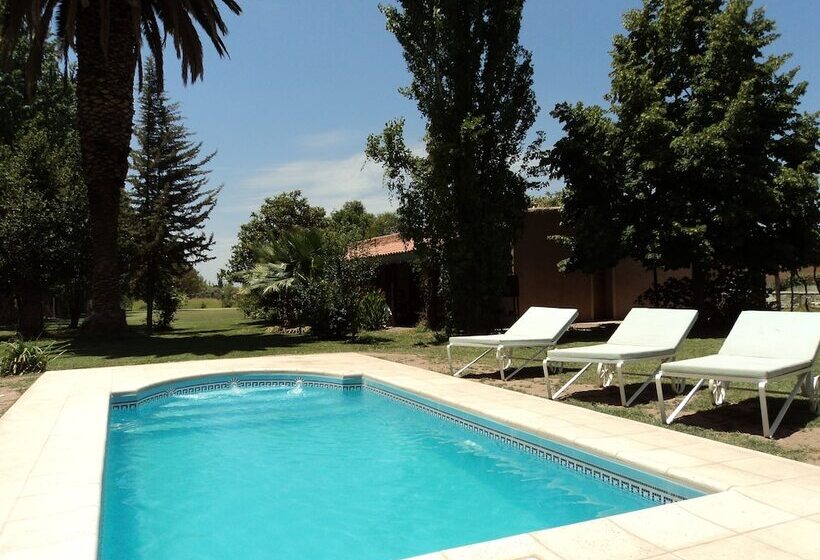 Отель Posada Cavieres Wine Farm