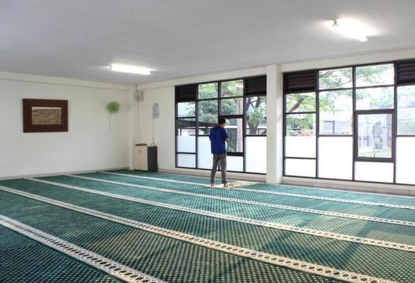 فندق Pp University