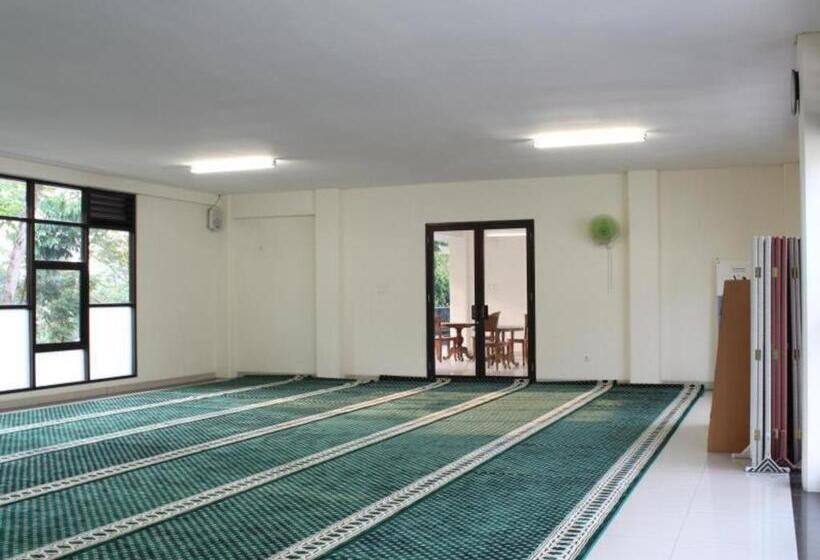 فندق Pp University