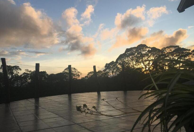 هتل Semilla Verde Boutique