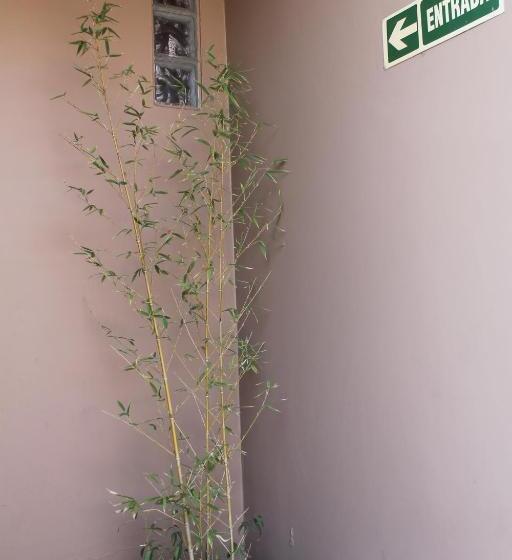 בית מלון כפרי Sienna