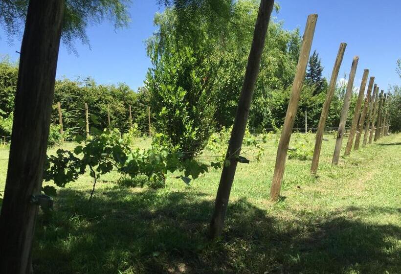 فندق Tikaykilla Lodge & Wines