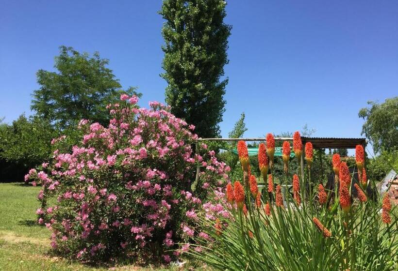 فندق Tikaykilla Lodge & Wines