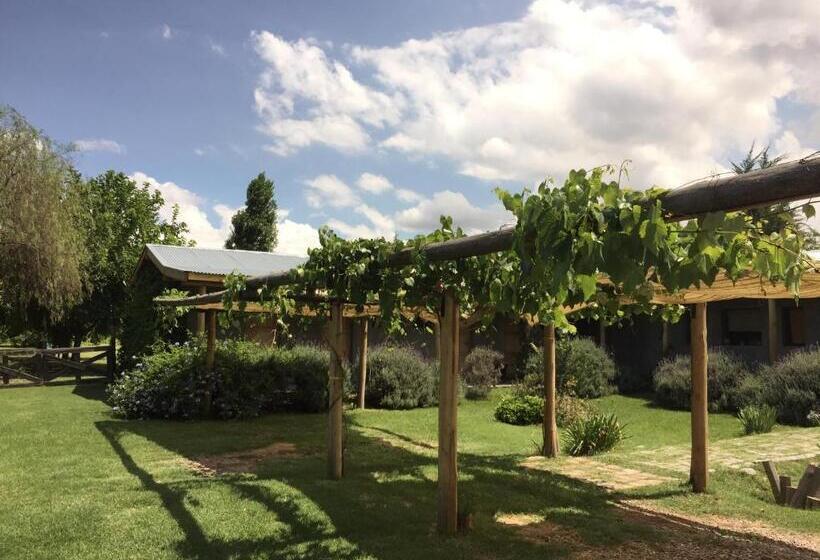 فندق Tikaykilla Lodge & Wines