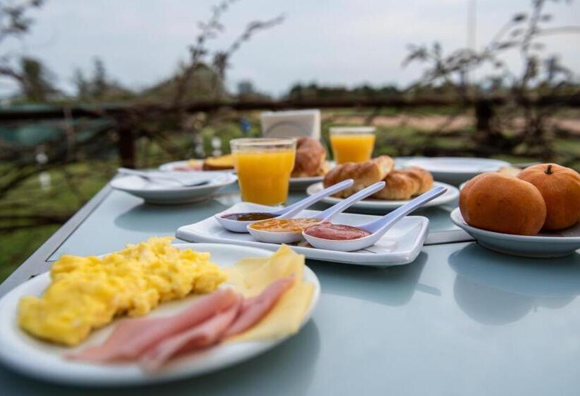 هتل Y Spa Termas Del Este