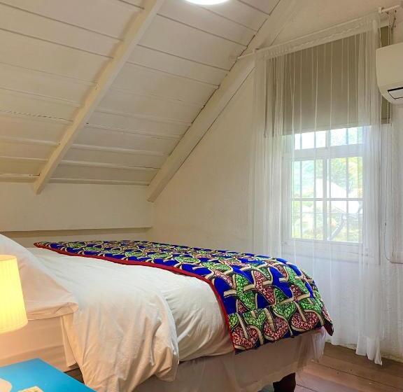 Iguanazu Bed & Breakfast