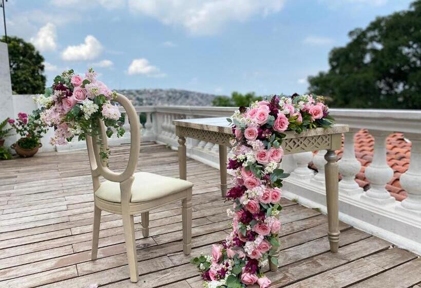 Iguanazu Bed & Breakfast