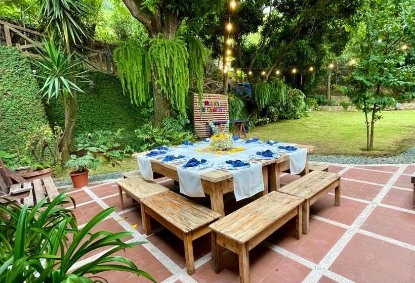 Iguanazu Bed & Breakfast