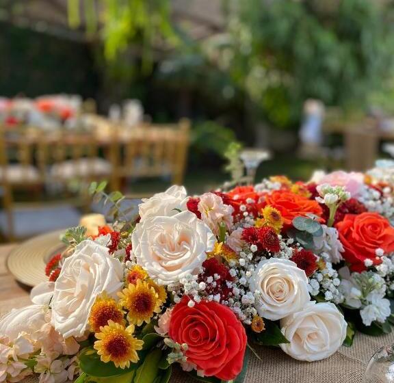 Iguanazu Bed & Breakfast