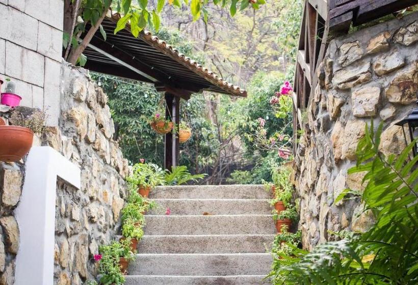 Iguanazu Bed & Breakfast