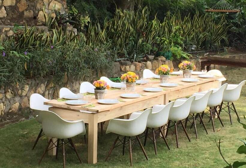 Iguanazu Bed & Breakfast