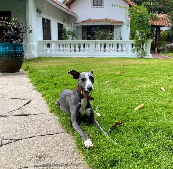 Iguanazu Bed & Breakfast