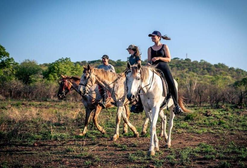 Manzini Swazi King Chalets