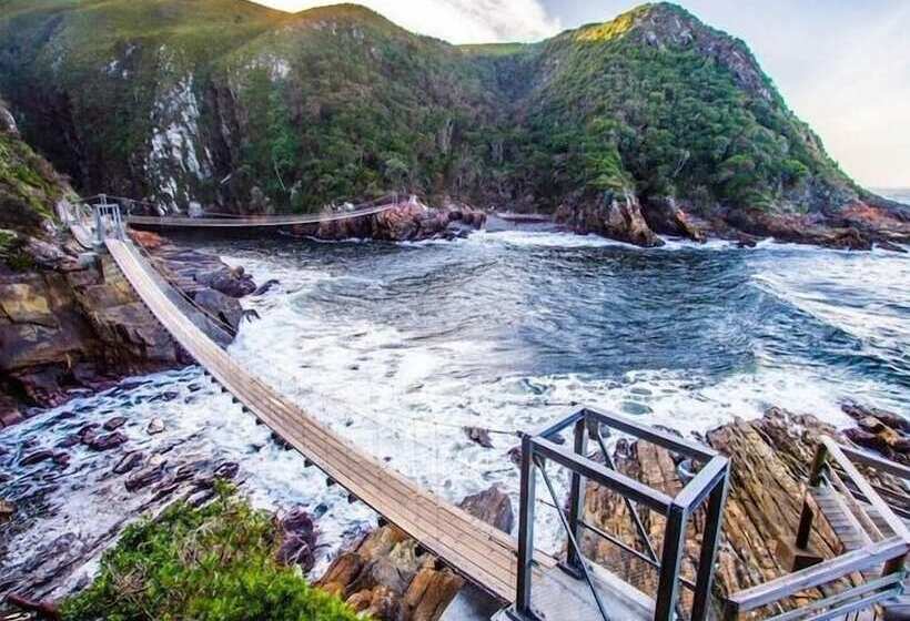 Moon Shine On Whiskey Creek