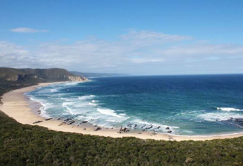 Moon Shine On Whiskey Creek