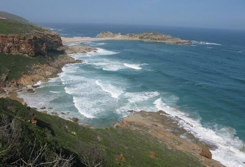 Moon Shine On Whiskey Creek