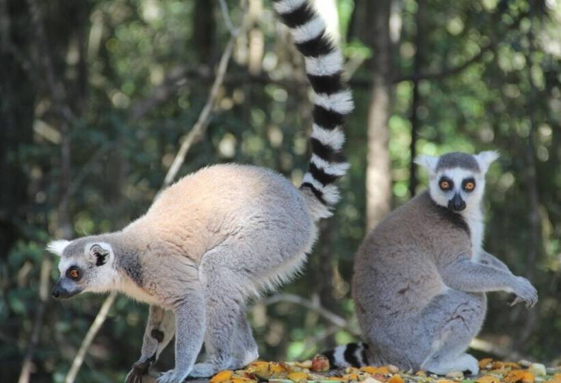 Moon Shine On Whiskey Creek