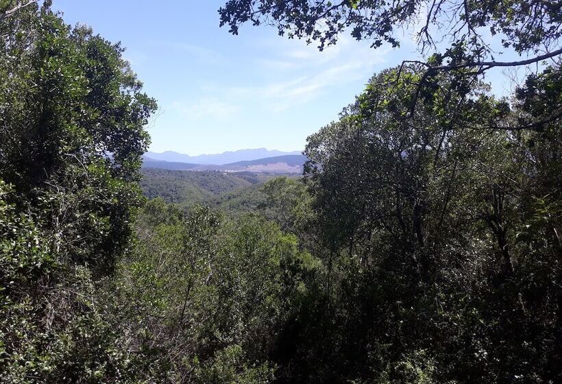 Moon Shine On Whiskey Creek