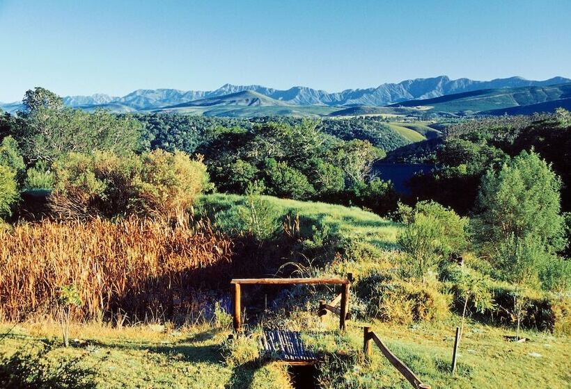 Moon Shine On Whiskey Creek