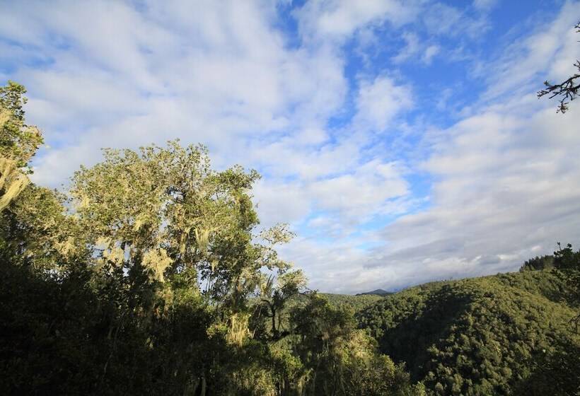 Moon Shine On Whiskey Creek
