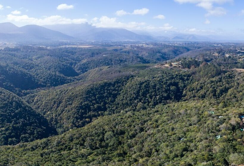 Moon Shine On Whiskey Creek