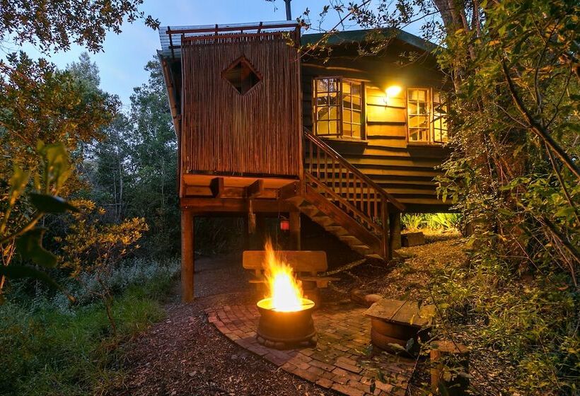 Moon Shine On Whiskey Creek