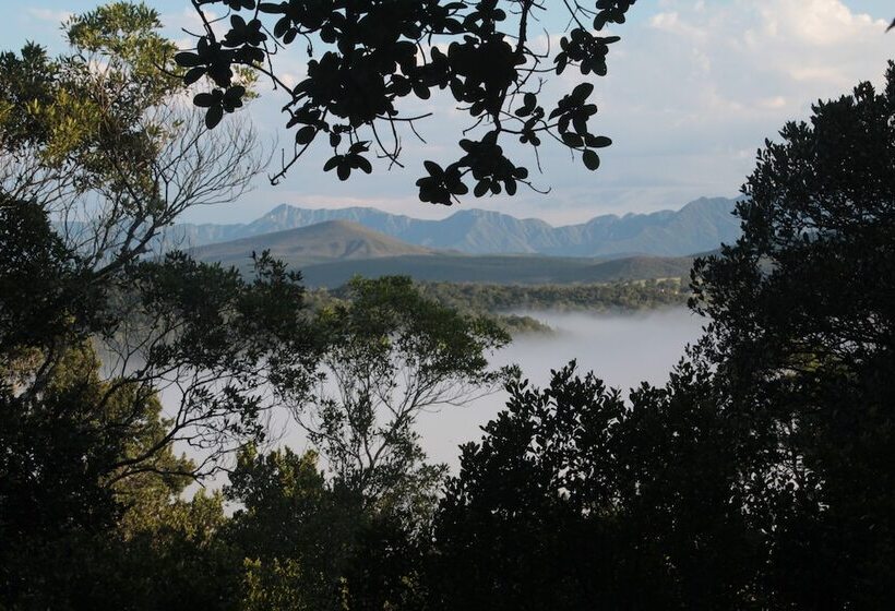 Moon Shine On Whiskey Creek