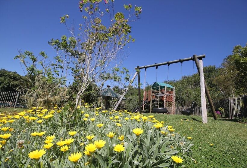 Moon Shine On Whiskey Creek