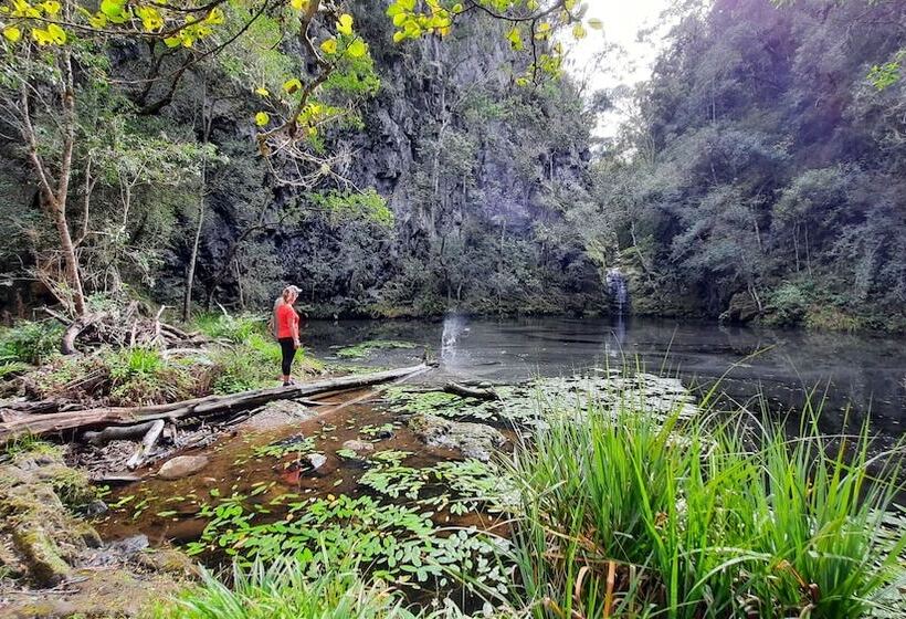 Moon Shine On Whiskey Creek