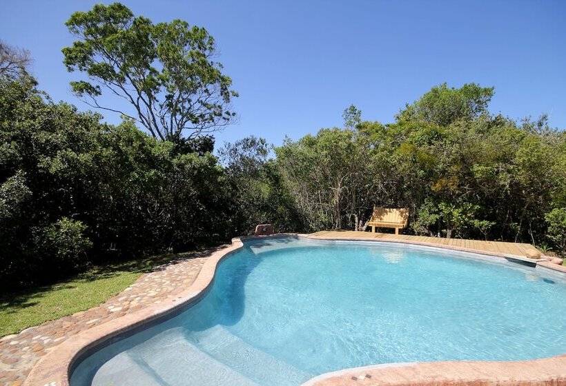 Moon Shine On Whiskey Creek