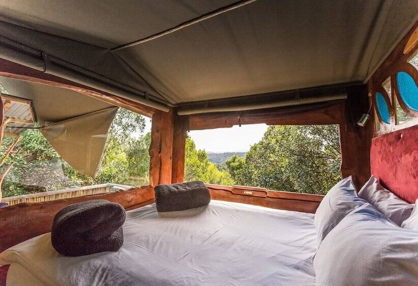 Moon Shine On Whiskey Creek