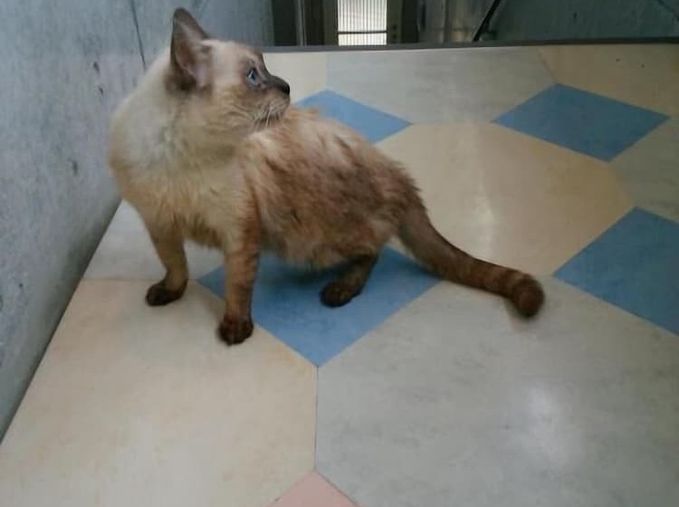 بنسيون Guest House Sea Glass