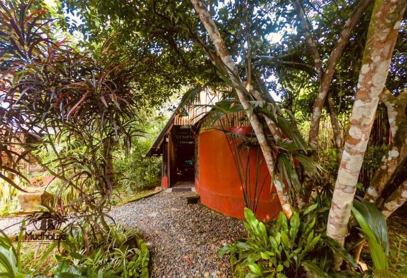 The Mudhouse Hostel Mompiche