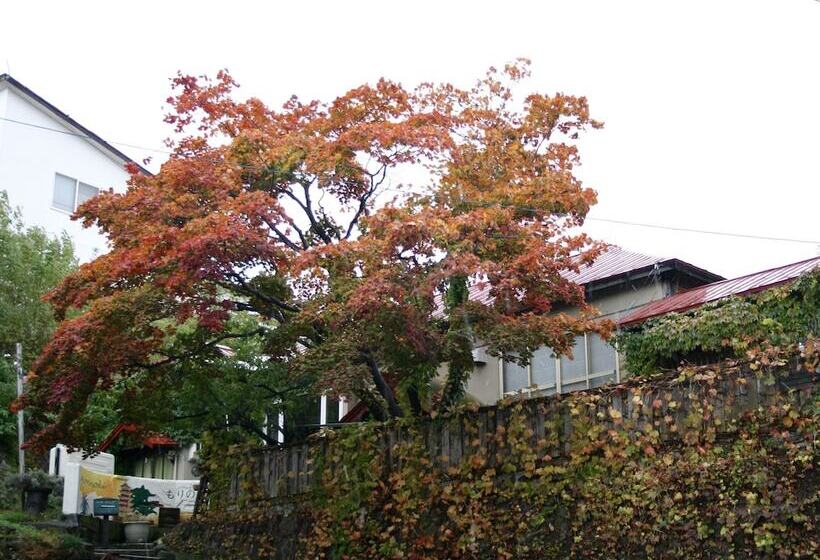 The Otaornai Backpacker S Hostel Morinoki