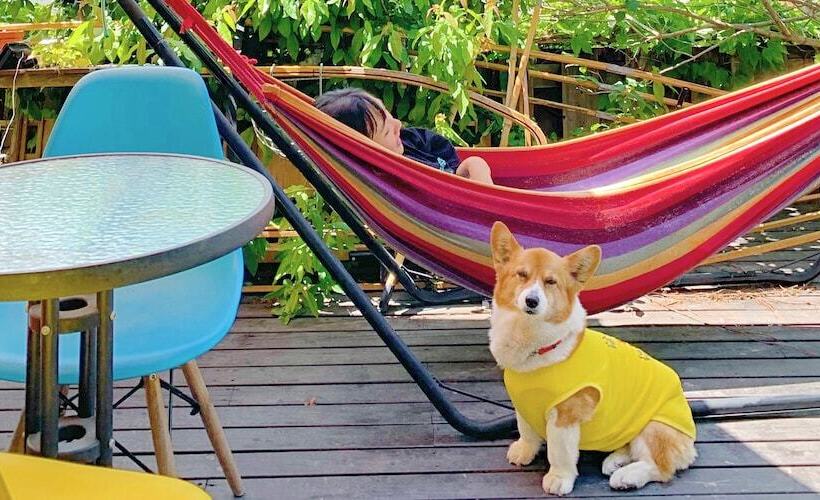 The Otaornai Backpacker S Hostel Morinoki