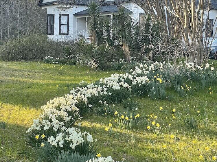 Adelines Bed And Breakfast